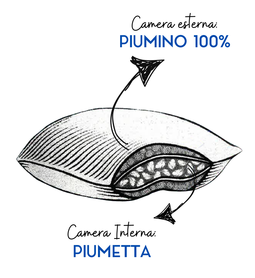 GUANCIALE FIRST CLASS MOLINA PIUMINI